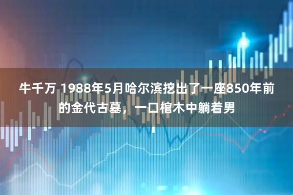 牛千万 1988年5月哈尔滨挖出了一座850年前的金代古墓，一口棺木中躺着男