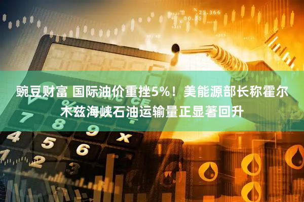 豌豆财富 国际油价重挫5%!美能源部长称霍尔木兹海峡石油运输量正显著回升