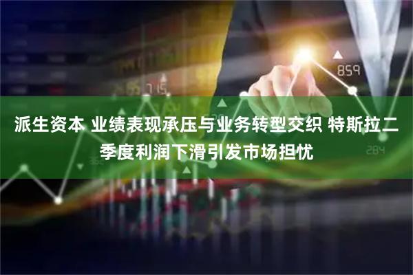 派生资本 业绩表现承压与业务转型交织 特斯拉二季度利润下滑引发市场担忧