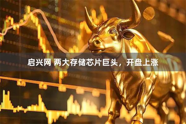 启兴网 两大存储芯片巨头,开盘上涨